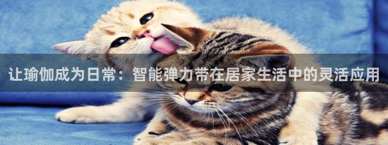 emc易倍体育官网下载注册：让瑜伽成为日常：智能弹力带在居家