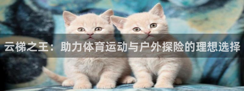 海南emc易倍体育官网下载发展怎么样：云梯之王：助力