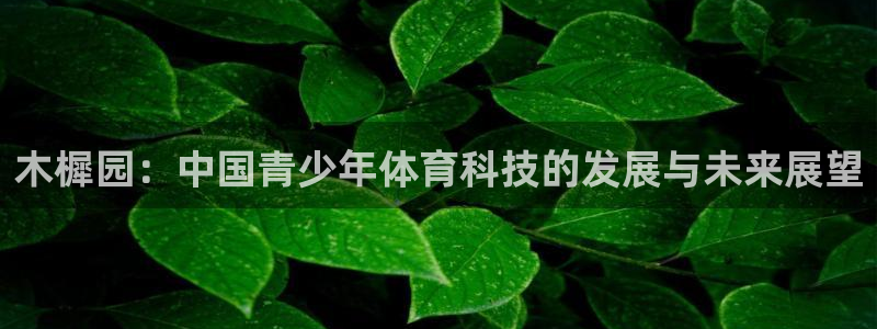 风速体育app