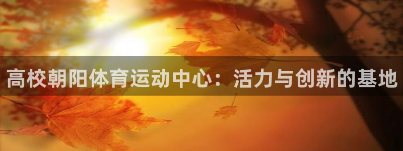 风速体育下载