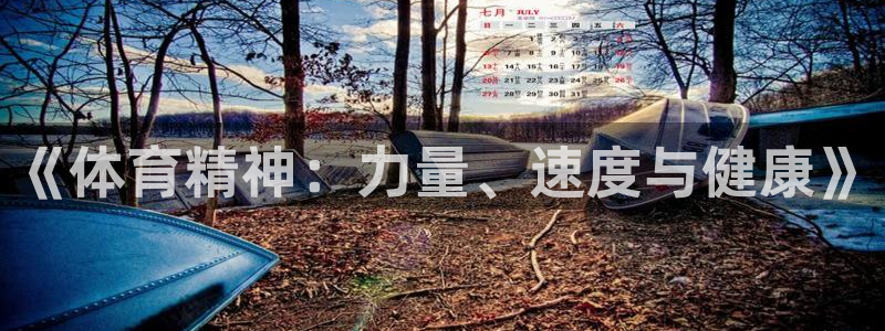 风速体育nba免费直播