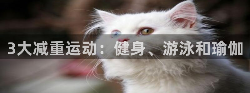 风速体育