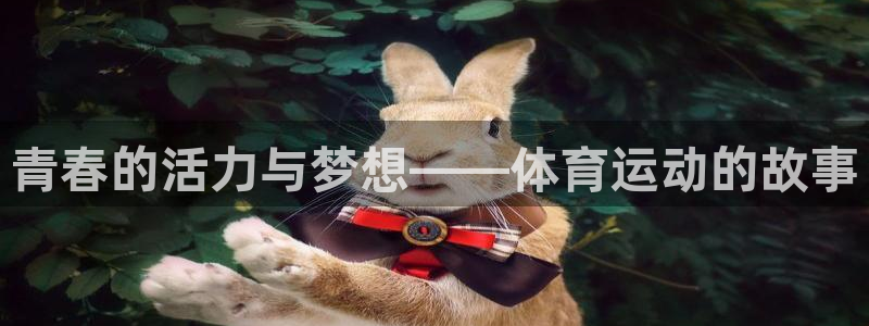 风速体育下载