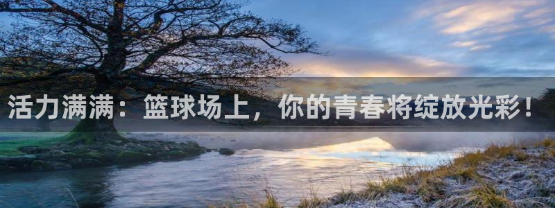 风速体育
