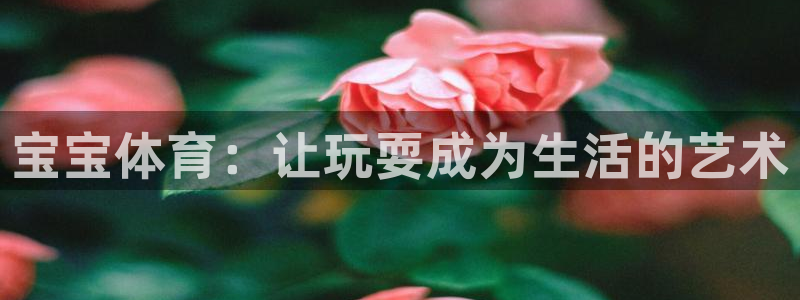 风速体育app官方下载