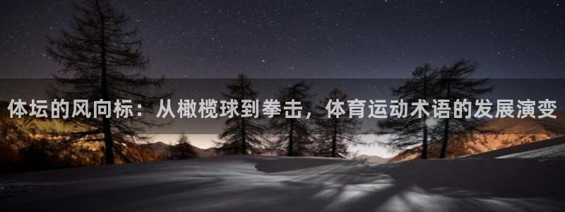 风速体育直播app