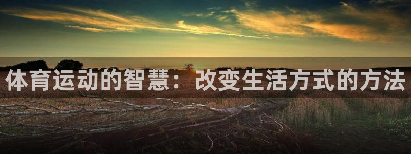 风速体育cba直播