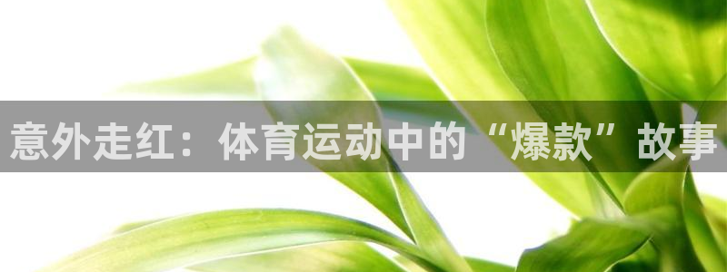 风速体育nba直播