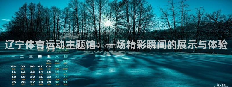 风速体育官网
