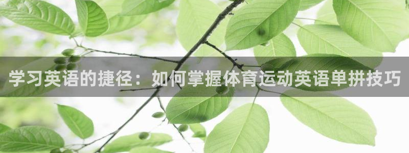 风速体育官网