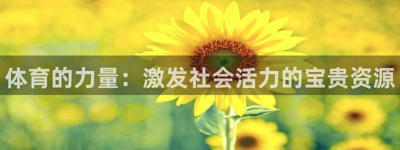 风速体育下载