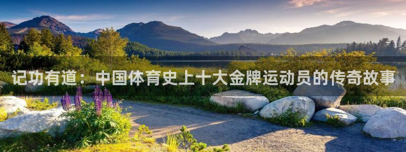 风速体育app
