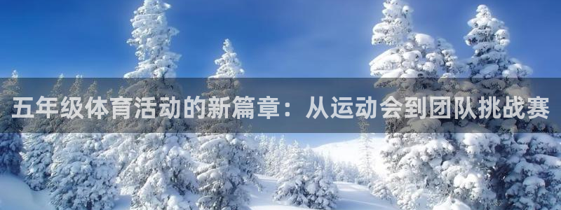 风速体育