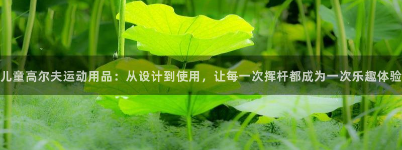 海南emc易倍体育官网下载：儿童高尔夫运动用品：从设计到使用